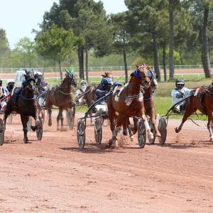 Incroyable : un parieur gagne plus de 108 000 euros au Quinté+ en misant seulement 2 euros !