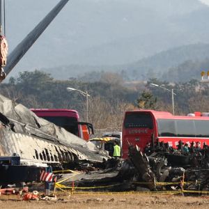 "Révélation choquante sur le crash en Corée du Sud : des oiseaux responsables de la tragédie selon un rapport"