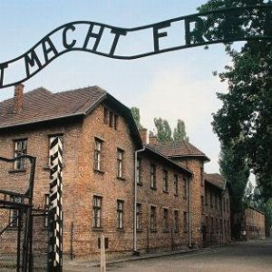 "Scandale autour d'Auschwitz : pourquoi le musée refuse de quitter X malgré les agissements d'Elon Musk"