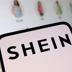 "Shein bat Vinted et devient la marque de mode préférée des Français en 2024"