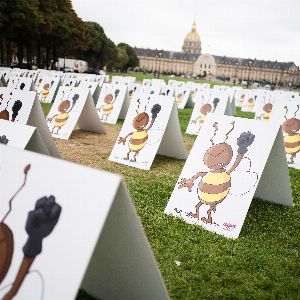 Le Sénat ouvre la boîte de Pandore pour une réintroduction temporaire de pesticides interdits