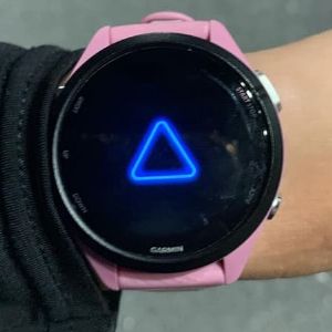 "Panne totale pour les montres Garmin : que faire face au redouté "triangle bleu de la mort" ?"