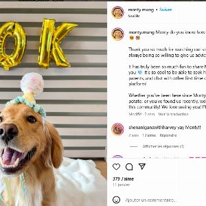 "Découvrez combien ce chien a gagné grâce à son compte Instagram !"